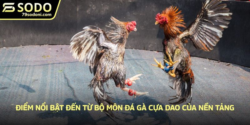 Điểm nổi bật đến từ bộ môn đá gà cựa dao của nền tảng