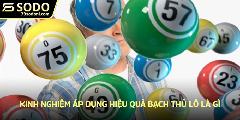 Kinh nghiệm áp dụng hiệu quả bạch thủ lô là gì