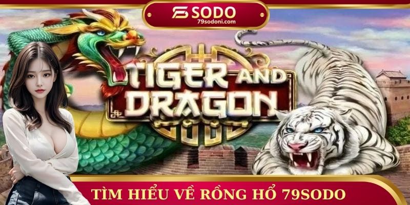 Tìm hiểu về rồng hổ 79sodo